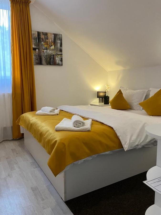 Pensiunea Tinelu Brasov Săcele Extérieur photo