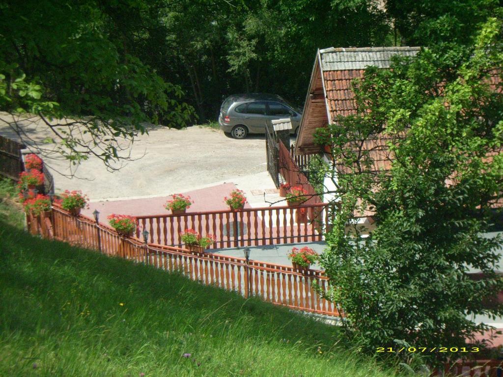 Pensiunea Tinelu Brasov Săcele Extérieur photo